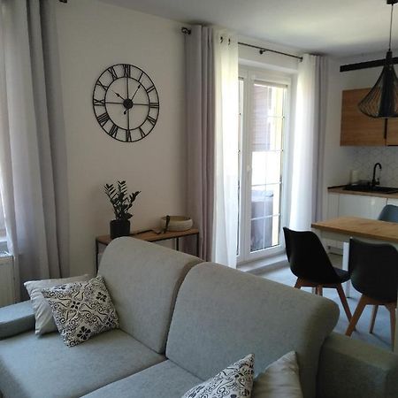 Apartament Pod Swierkami Шклярська Поремба Екстер'єр фото
