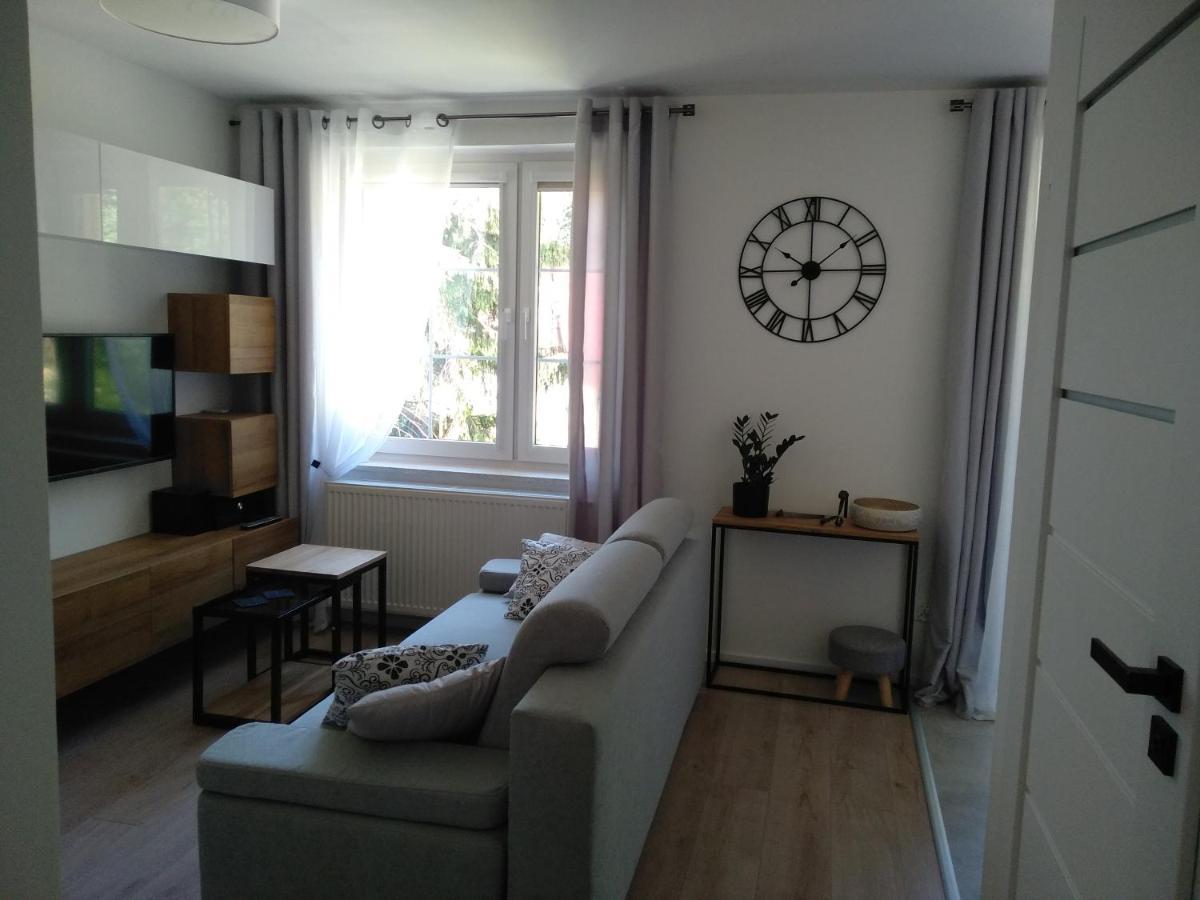 Apartament Pod Swierkami Шклярська Поремба Екстер'єр фото