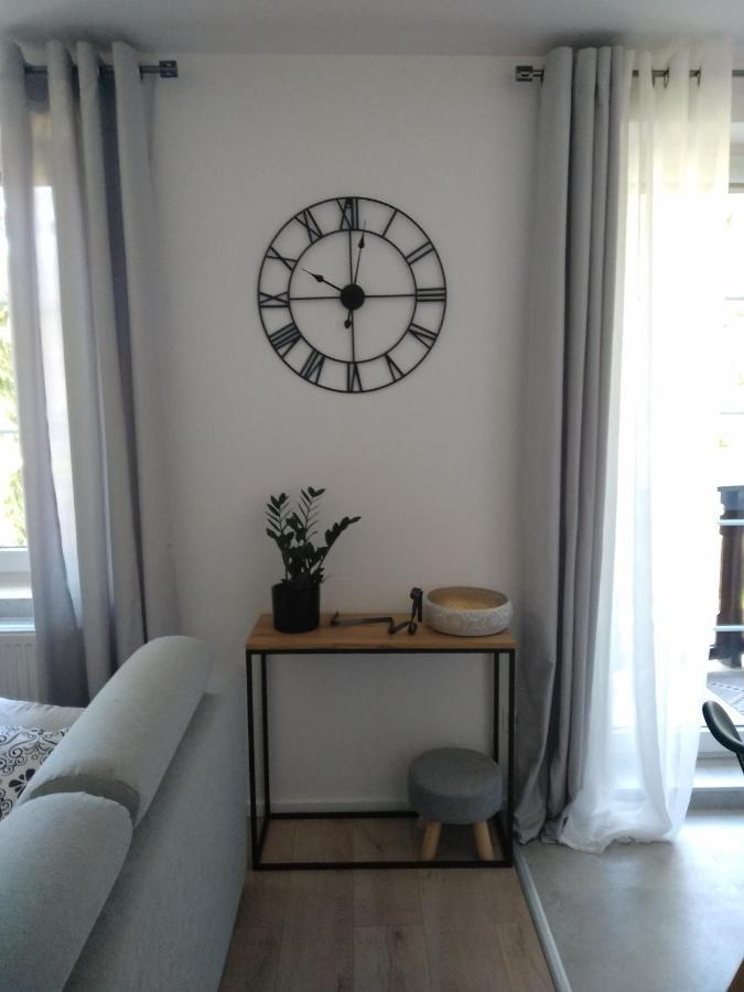 Apartament Pod Swierkami Шклярська Поремба Екстер'єр фото